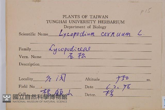 過山龍藏品圖，第2張