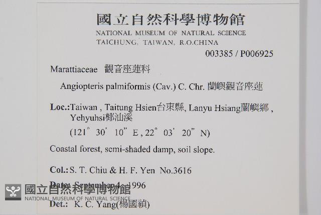 蘭嶼觀音座蓮藏品圖，第2張