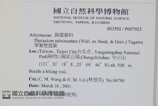 Accession Number:P007925 Collection Image, Figure 2, Total 5 Figures