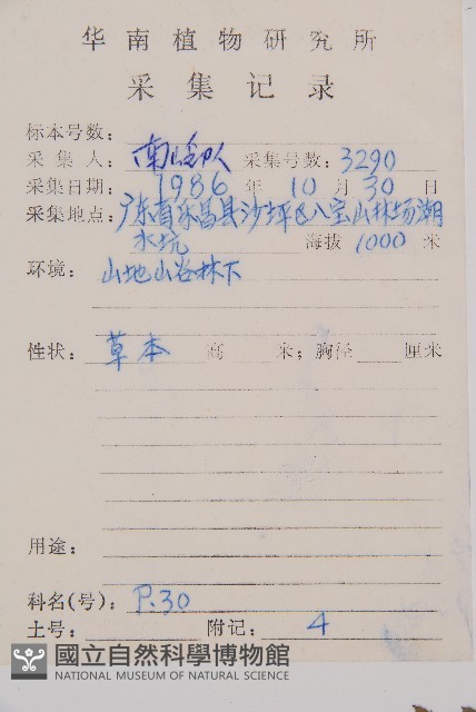 江南短腸蕨藏品圖，第2張