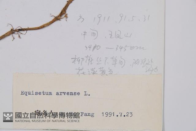 問荊藏品圖，第2張