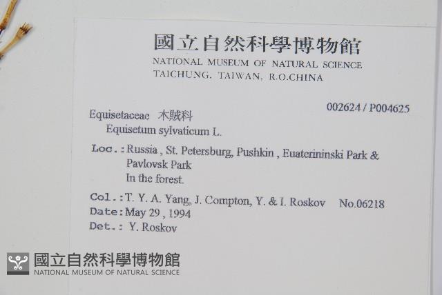 林下木賊藏品圖，第2張