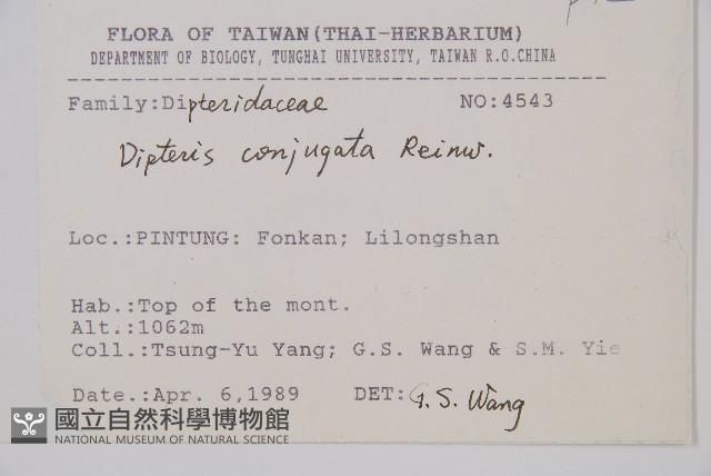 Accession Number:P007625 Collection Image, Figure 2, Total 5 Figures