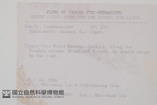 烏蕨藏品圖，第2張