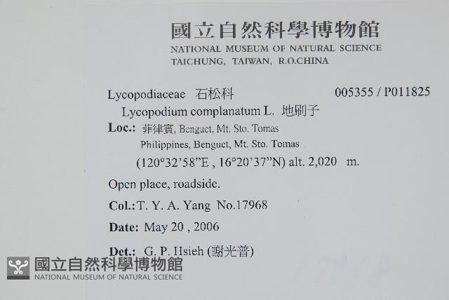 地刷子藏品圖，第2張