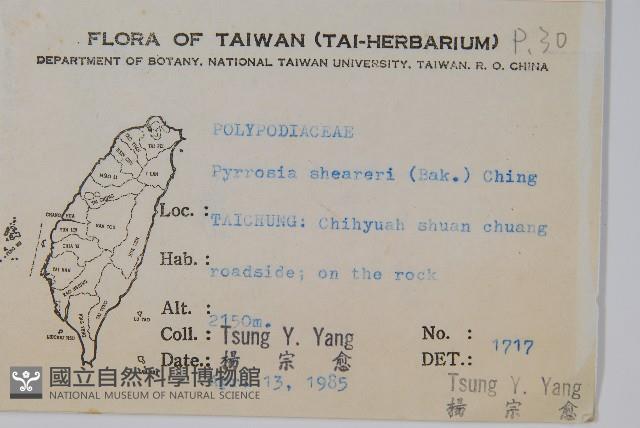 盧山石葦藏品圖，第2張