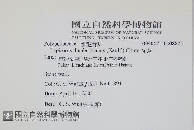 瓦葦藏品圖，第2張