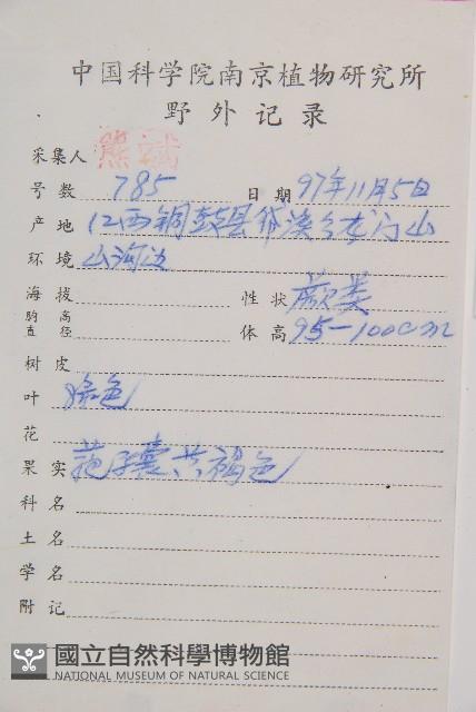 薄蓋短腸蕨藏品圖，第2張