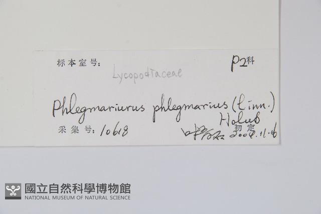 登錄號:P012905藏品圖，第2張