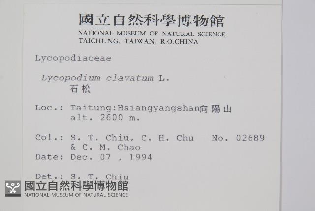 石松藏品圖，第2張