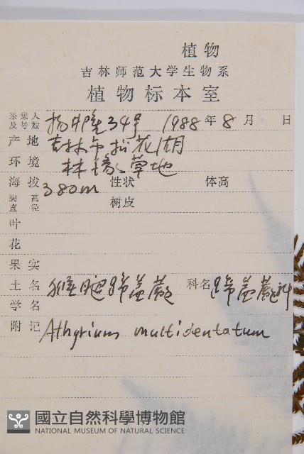 Accession Number:P004005 Collection Image, Figure 2, Total 5 Figures