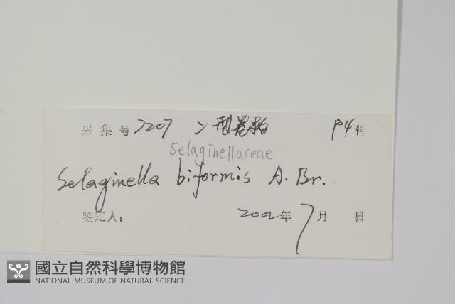 Accession Number:P010505 Collection Image, Figure 2, Total 2 Figures