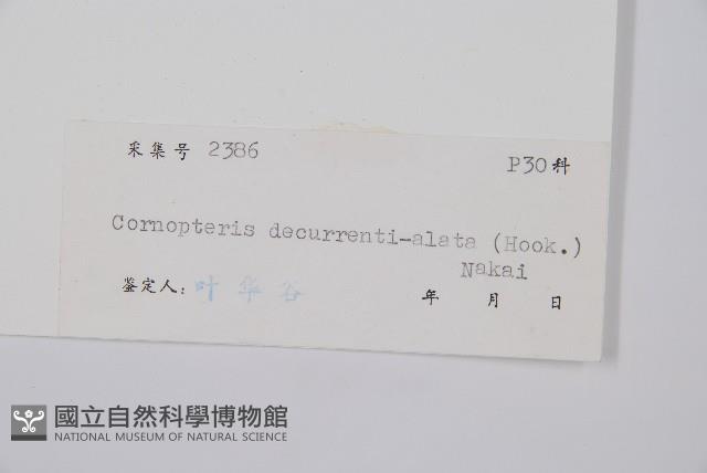 貞蕨藏品圖，第2張