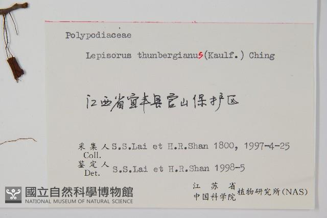 Accession Number:P006405 Collection Image, Figure 2, Total 2 Figures