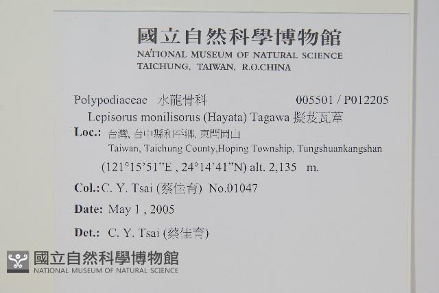 擬芨瓦葦藏品圖，第2張