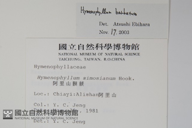 華東膜蕨藏品圖，第2張