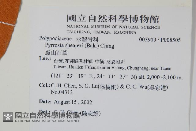 盧山石葦藏品圖，第2張