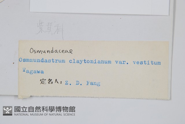 登錄號:P003915藏品圖，第2張