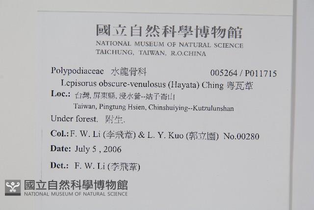 粵瓦葦藏品圖，第2張