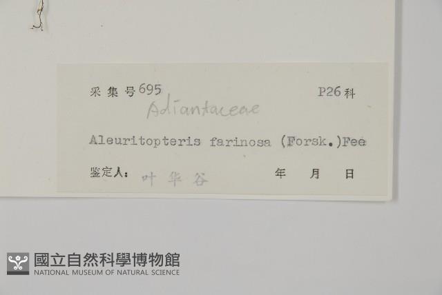 登錄號:P004715藏品圖，第2張