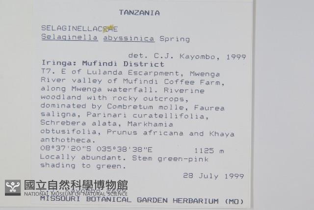 登錄號:P010015藏品圖，第2張