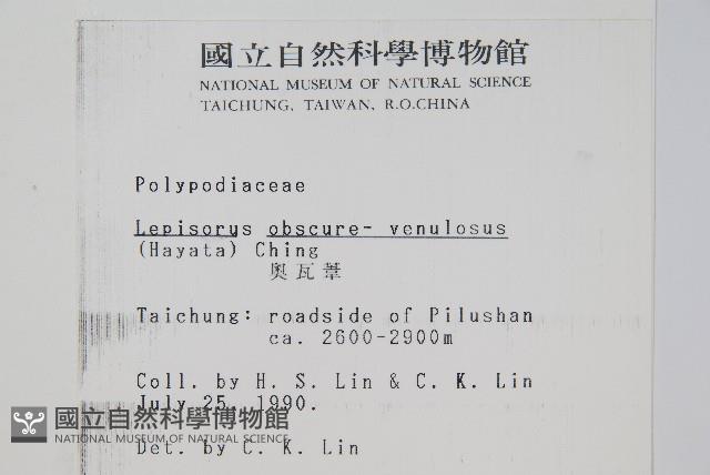 麟瓦葦、川上氏瓦葦藏品圖，第2張