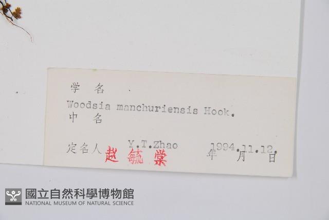 登錄號:P004015藏品圖，第2張