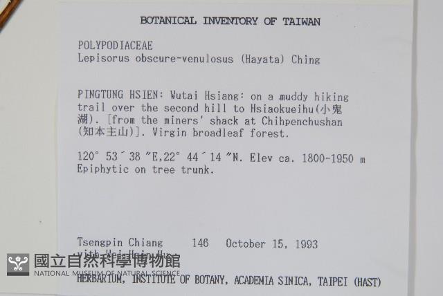 麟瓦葦、川上氏瓦葦藏品圖，第2張