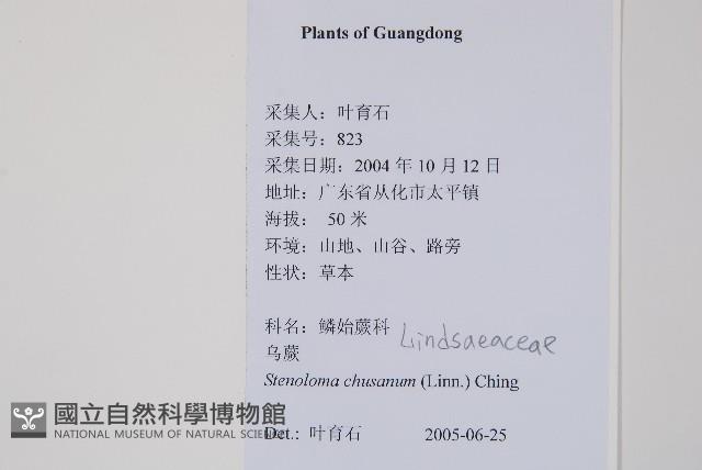 烏蕨藏品圖，第2張