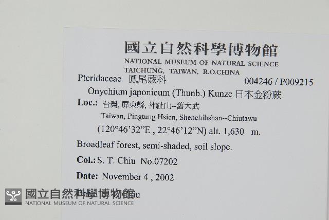 日本金粉蕨藏品圖，第2張
