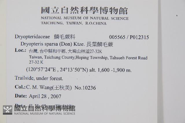 臺灣鱗毛蕨藏品圖，第2張