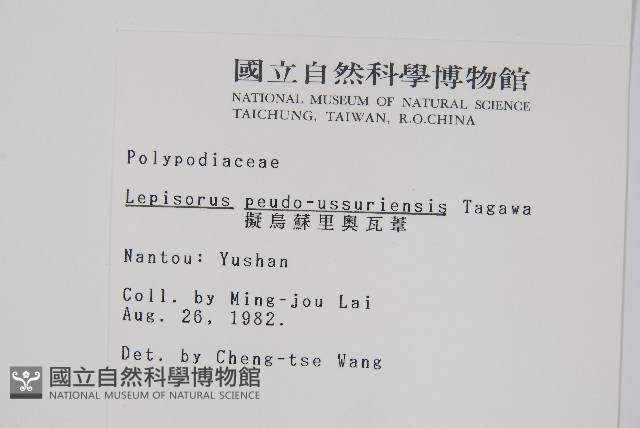 擬芨瓦葦藏品圖，第2張