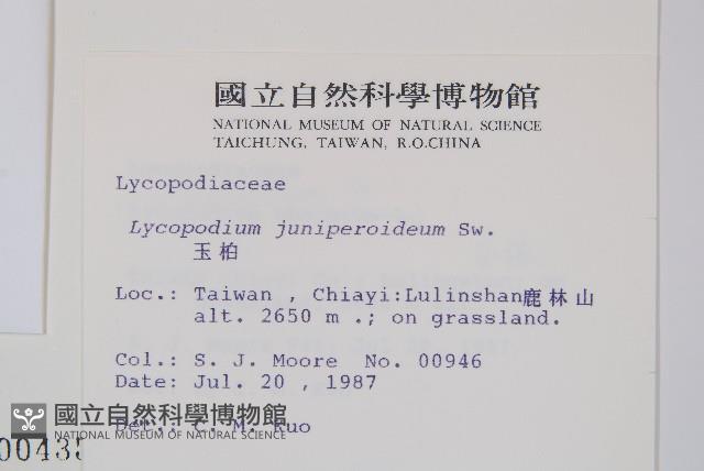 玉柏藏品圖，第2張