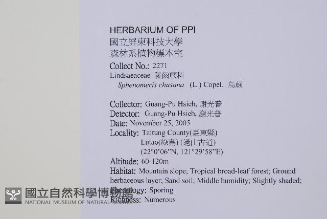 烏蕨藏品圖，第2張