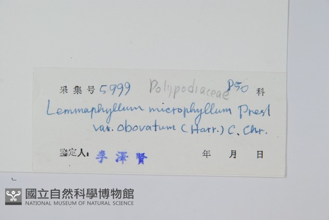 登錄號:P004415藏品圖，第2張