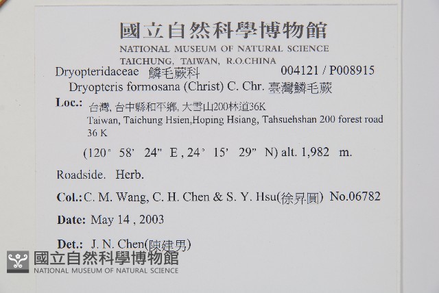 臺灣鱗毛蕨藏品圖，第2張
