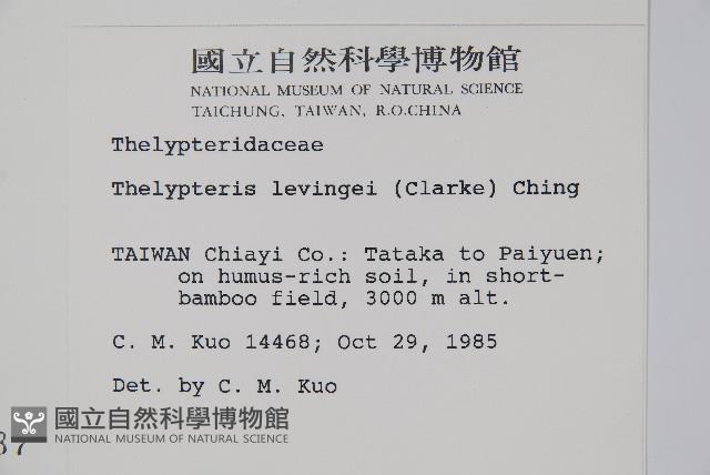 登錄號:P000955藏品圖，第2張