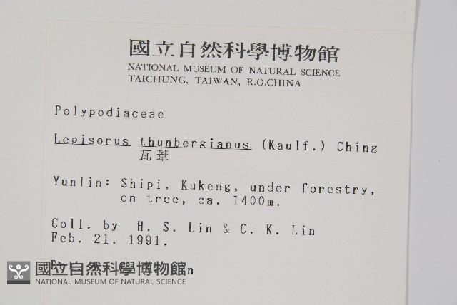 瓦葦藏品圖，第2張