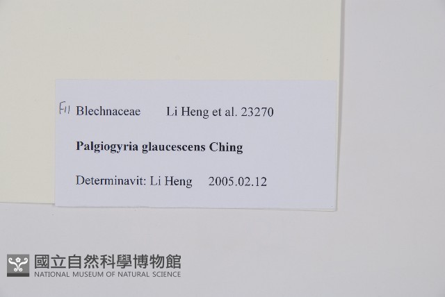 登錄號:P010755藏品圖，第2張