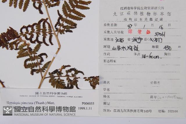 登錄號:P006055藏品圖，第2張