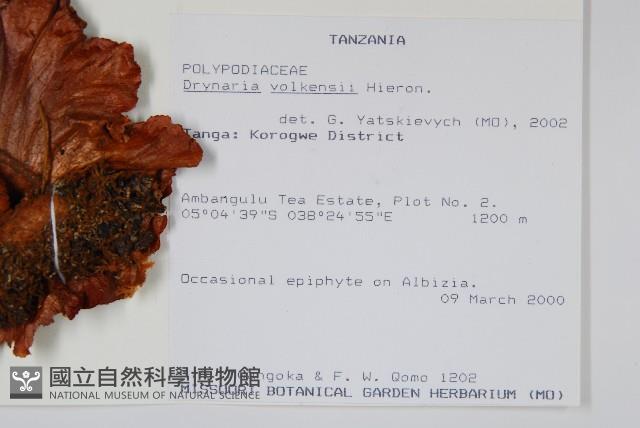 登錄號:P010055藏品圖，第2張