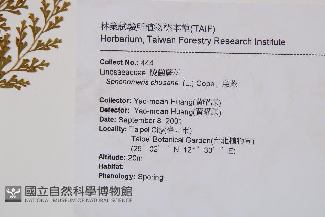 烏蕨藏品圖，第2張