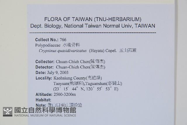 玉山茀蕨藏品圖，第2張