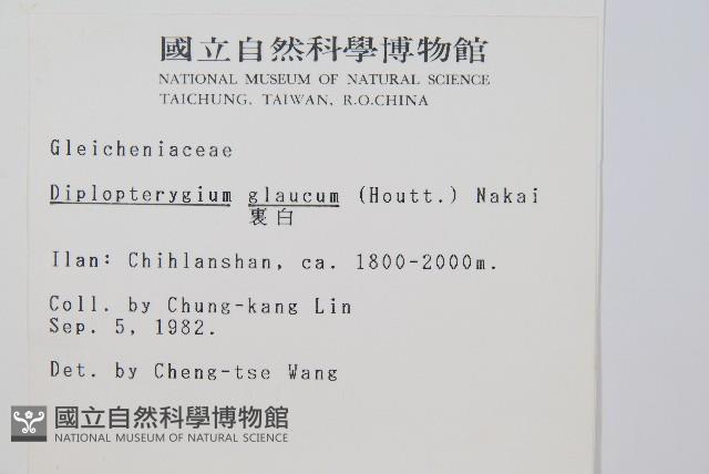 裡白藏品圖，第2張