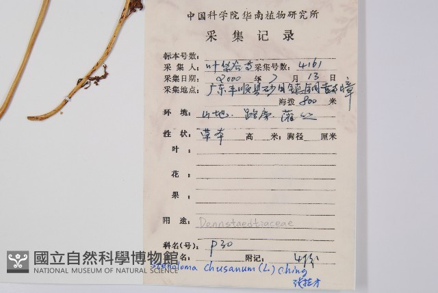 烏蕨藏品圖，第2張