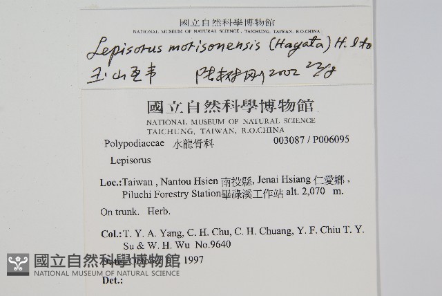 粵瓦葦藏品圖，第2張