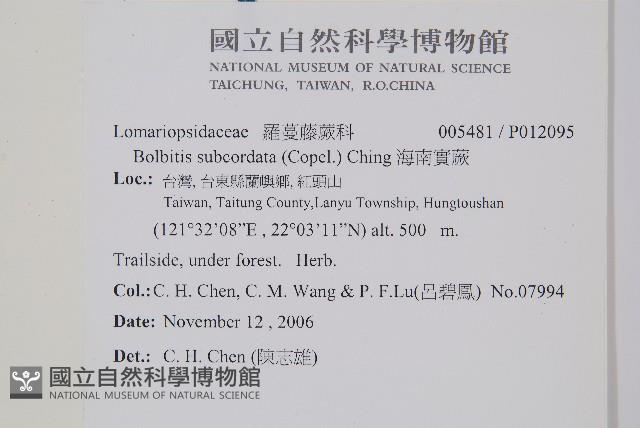 海南實蕨藏品圖，第2張