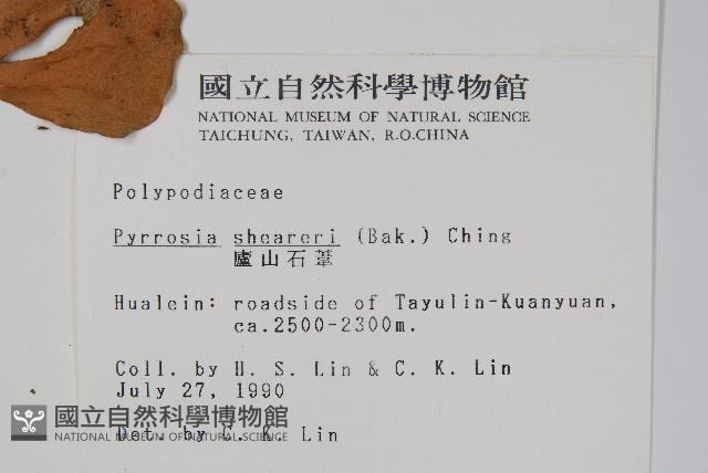 盧山石葦藏品圖，第2張