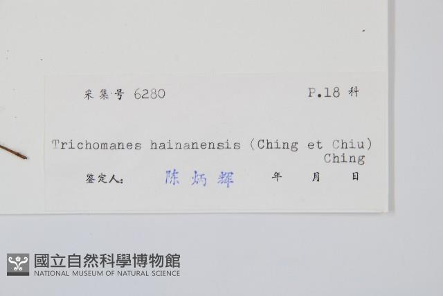 Accession Number:P004095 Collection Image, Figure 2, Total 2 Figures