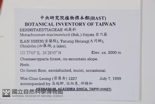 岩穴蕨藏品圖，第2張